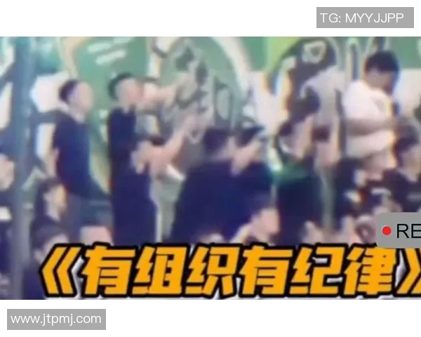 中国与巴西篮球赛场冲突引发热议球迷热情与暴力交织的背后故事